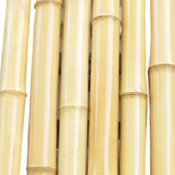 Natural Customized Sized Bamboo Pole